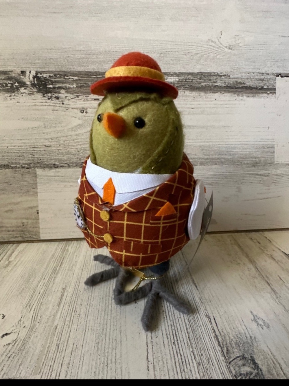 Target Fall 2023 Bird “Oats” Hyde and Eek Halloween NEW